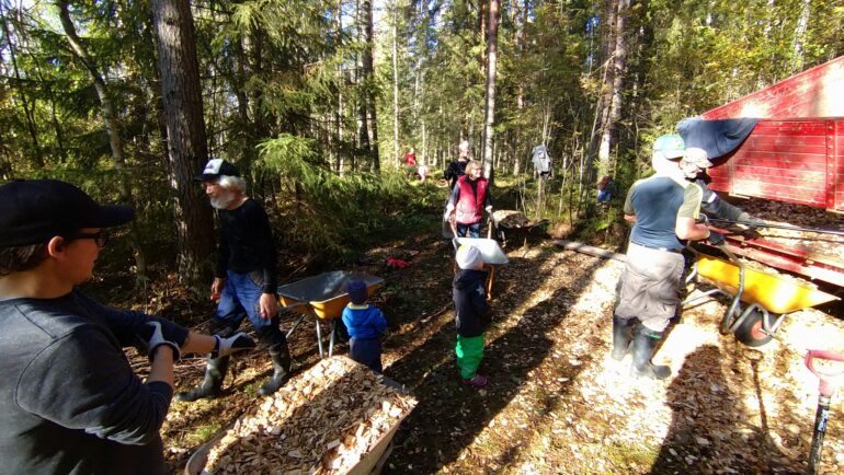 Talkoolaisia levittämässä haketta polulle.