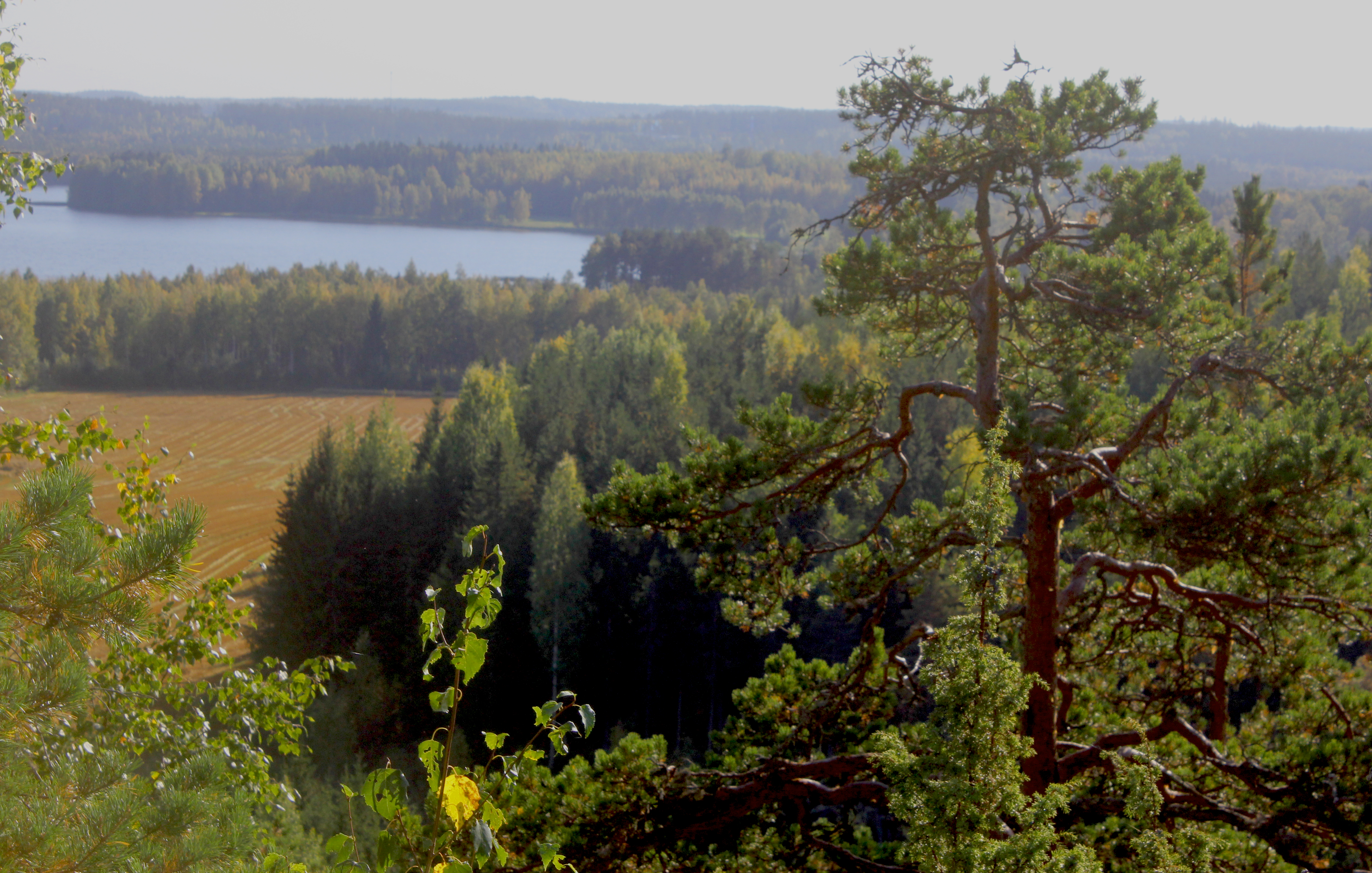 View from Määkymäki hill in Laurinmäki, Janakkala.